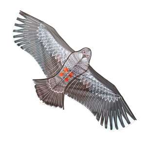 Eagle Shaped Kite - 2 m 58301816 - Verk Group