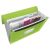 ESSELTE Accordion folder, A4, PP, 6 compartments, ESSELTE "Vivida", green 79530281