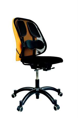 FELLOWES Backrest, FELLOWES "Professional Series™ Mesh"