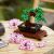 LEGO® Icons Bonsai stablo 10281 99056097