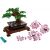 LEGO® Icons Bonsai stablo 10281 99056097