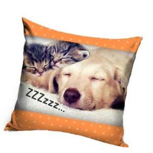 Dog and cat sleeping pillowcase, 40x40cm, cute animal design - Pillowcase