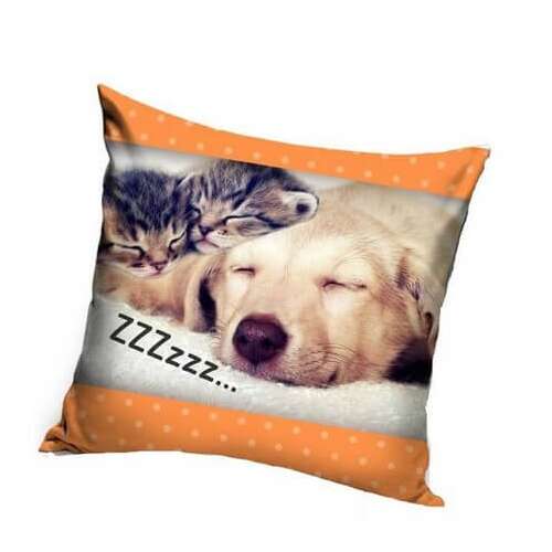 Калъфка за възглавница със спящ куче и котка, 40x40cm, сладък дизайн с животни