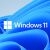 Windows 11 Home (64-Bit, Englisch, DVD-ROM) 58495625