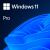 System operacyjny Windows 11 Pro