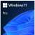 Windows 11 Pro