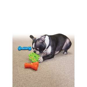 KONG Quest Star Pods Lassú Etető Játék - Kicsi