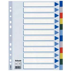 Registru Esselte din plastic A4 cu 12 file colorate - Consumabile pentru capsator