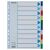 ESSELTE Register, Kunststoff, A4, 10 Stück, ESSELTE 31565871