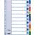 Esselte A4 10-teilige Kunststoff-Register-Teiler, sortierte Farben