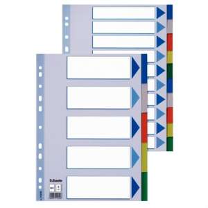 Esselte A4 registru din plastic cu 5 compartimente cu file colorate - Consumabile pentru capsator