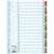 Esselte A4 1-31 Mylar index dividers, 31 tabs, colored, for organizing documents