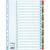 ESSELTE Register, Karton, A4, 1-31, ESSELTE "Mylar" 31566112