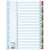 Divizoare index Esselte A4 1-31 Mylar, 31 file, colorate, pentru organizarea documentelor
