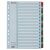 ESSELTE Regiszter, karton, A4, 1-31, ESSELTE "Mylar" 173755221