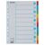 ESSELTE Register, kartón, A4, 10 kusov, s popisovateľnou prednou stranou, ESSELTE &rdquo;Standard&rdquo;, farba 31566129