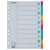 Esselte A4 10-dielny register s písacími záložkami, modrý, viacfarebné záložky