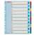 Divizoare de indexare Esselte 1-10 A4+