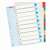 Divizoare de indexare Esselte 1-10 A4+