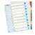 Divizoare de indexare Esselte 1-10 A4+