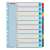 Divizoare de indexare Esselte 1-10 A4+