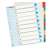 Divizoare de indexare Esselte 1-10 A4+