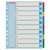 Divizoare de indexare Esselte 1-10 A4+