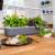 Smart Garden 9, сива вътрешна градина с 9 капсули, за отглеждане на билки и зеленчуци, в кухня