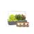 Smart Garden 9, gray indoor garden with 9 capsules, growing herbs and vegetables, with 3 seed packs