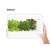 Click & Grow Smart Garden 9 Pro fehér színben salátával, bazsalikommal és paradicsommal, okostelefon alkalmazással vezérelve