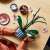 LEGO® Icons Botanicals Orhideja 10311 105207911