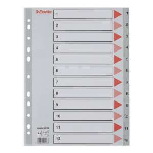 Esselte A4 Műanyag Regiszter - 12 Részes