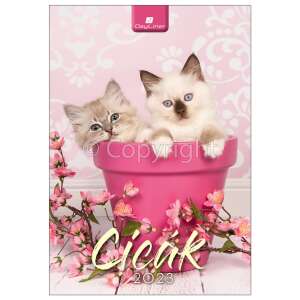 Dayliner falinaptár 2023, cuki cicákkal, borító - Dayliner