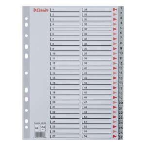 Esselte A4 Műanyag Regiszter - 54 Részes