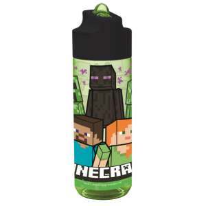 Minecraft Hydro plastic water bottle 540 ml, featuring Minecraft characters - Water Bottle