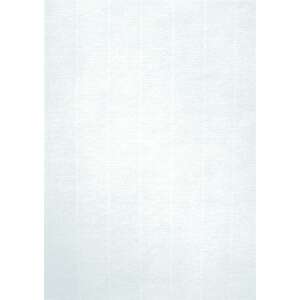 APLI Előnyomott papír A4 220g törtfehér - Előnyomott papír