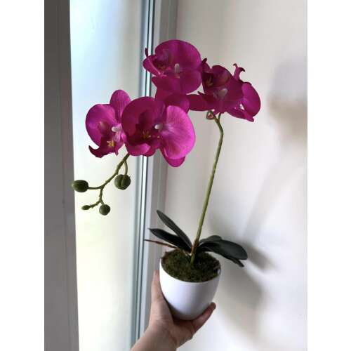 Orchidea kaspós dekor 