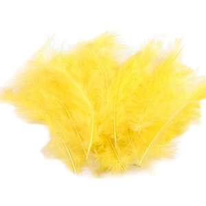 Sárga strucctollak kézműveskedéshez, 20 darabos készlet - Őszi dekorációs kellék