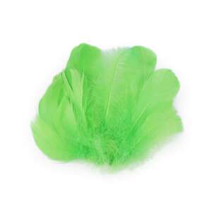 Light green ostrich feathers, 6-10 cm long, perfect for crafts, decorations, and floral arrangements - Art & Craft