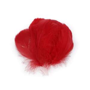 Red ostrich feathers, 20 pieces, 6-10 cm long, perfect for crafts, decorations, and floral arrangements - Autumn decoration supply
