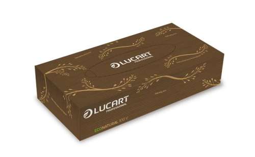 LUCART Kozmetické vreckovky, 2-vrstvové, 100 kusov, LUCART &rdquo;EcoNatural&rdquo;, hnedé