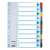 Esselte 1-10 Mylar A4 Dividers, 10 tabs, numbered 1-10, colorful, for organizing documents