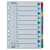 Esselte 1-10 Mylar A4 Dividers, 10 tabs, numbered 1-10, colorful, for organizing documents