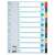 Divizoare Esselte 1-10 Mylar A4, 10 file, numerotate de la 1 la 10, colorate, pentru organizarea documentelor