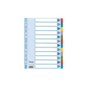 Deliaci list Esselte MYLAR A4 s 12 časťami, modrý, s farebnými záložkami - Príslušenstvo pre viazanie dokumentov