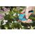 Gardena Pruning Shears S 39087959