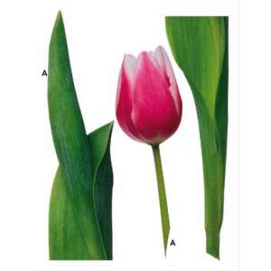 Tulipán falmatrica - babaszoba faldekoráció 59188445 