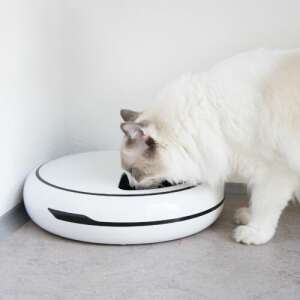 Navaris automatic pet feeder, white, with cat eating from it - Navaris
