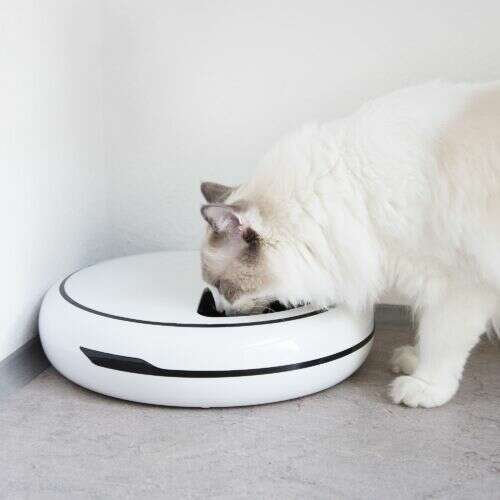 Navaris automatic pet feeder, white, with cat eating from it