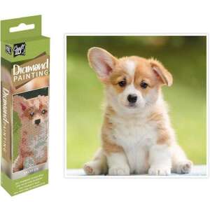 Grafix Gyémántfestő készlet, 20x20 cm, Kölyökkutya - Grafix